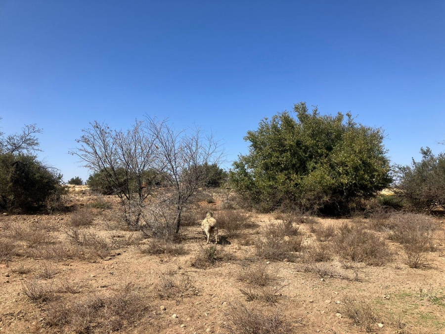 0 Bedroom Property for Sale in Luckhoff Free State